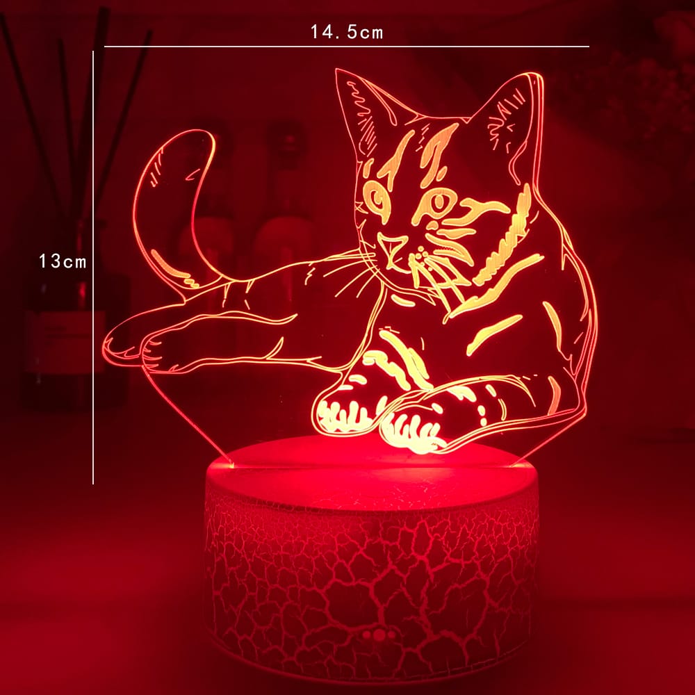 Acryl Nachtlampje Katfiguurtje Nachtlampen