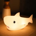 Baby Vis Nachtlampje 18x7x9 cm Met Warm Licht Nachtlampen