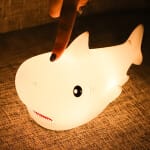 Baby Vis Nachtlampje 18x7x9 cm Met Warm Licht Nachtlampen