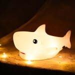 Baby Vis Nachtlampje 18x7x9 cm Met Warm Licht Nachtlampen