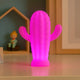Cactus Nachtlampje ZenCactus LED