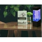 Meerkleurige LED Meduze Lamp Nachtlampen