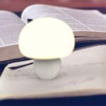 Mini Kawaii Paddenstoel Lamp 9,5 cm Kinder Nachtlampje Sfeervol Nachtlampen