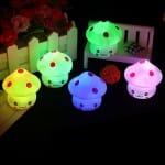 Mini Paddenstoel Nachtlampje 6,5 cm Nachtlampen
