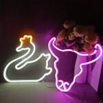 Neon Zwaan Lichtpaneel 20 cm Kleurige Nachtverlichting Decoratief Nachtlampen
