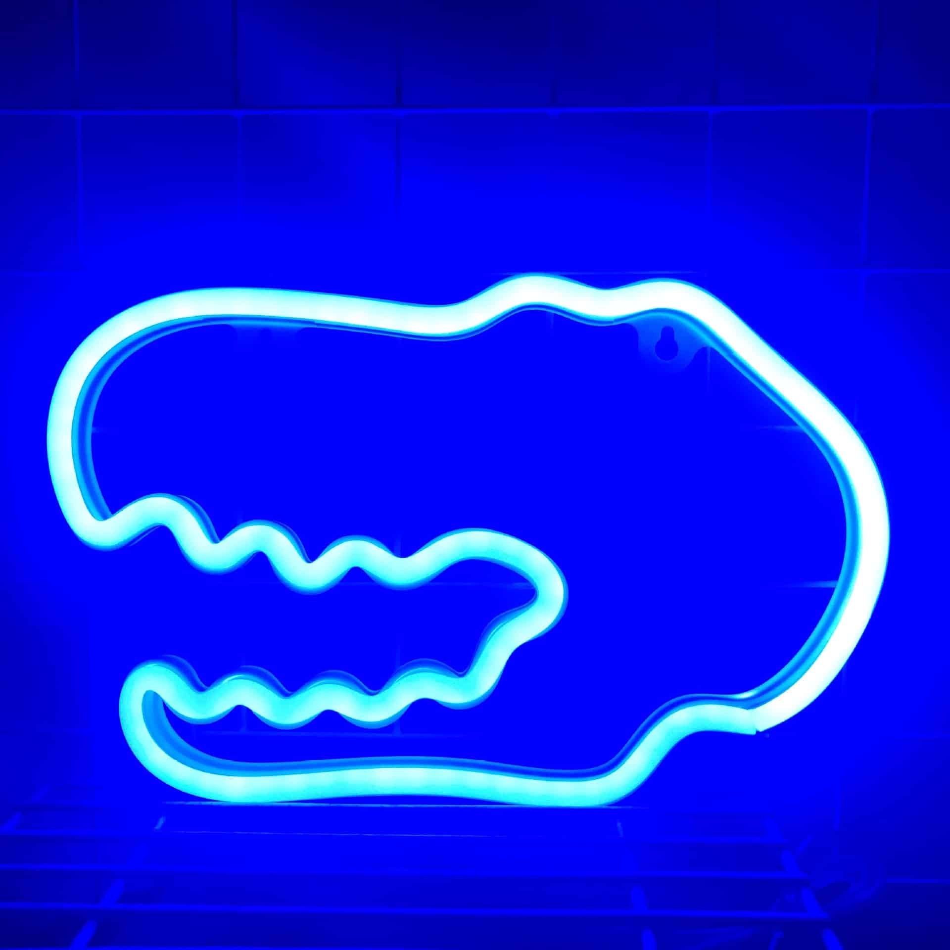 Roze Dinosaurus Nachtlampje Neon Nachtlampen