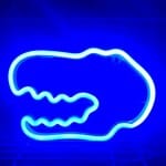 Roze Dinosaurus Nachtlampje Neon Nachtlampen